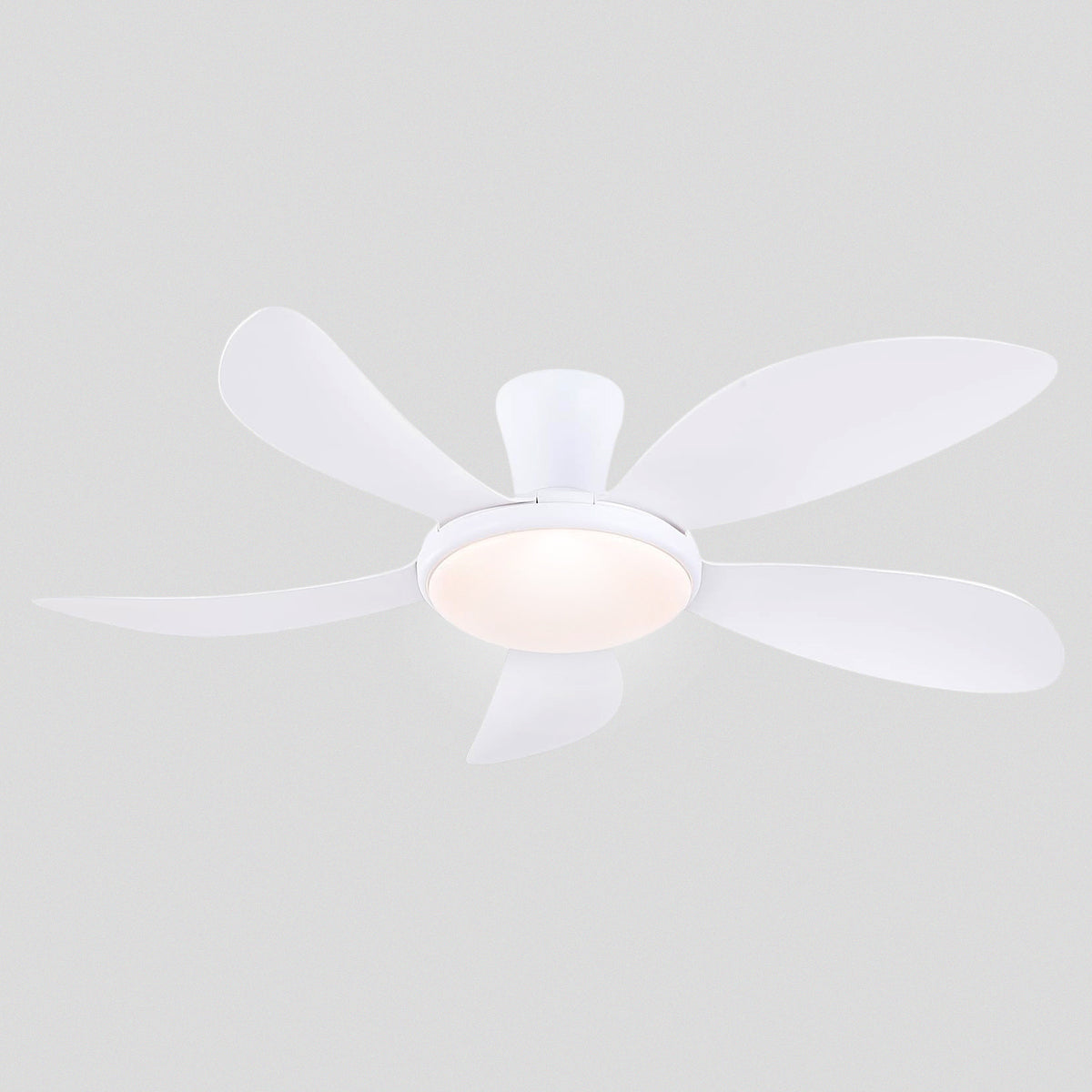 Modern LED Ceiling Fans Low Profile Ceiling Fans with Lights 6 Speeds 48"