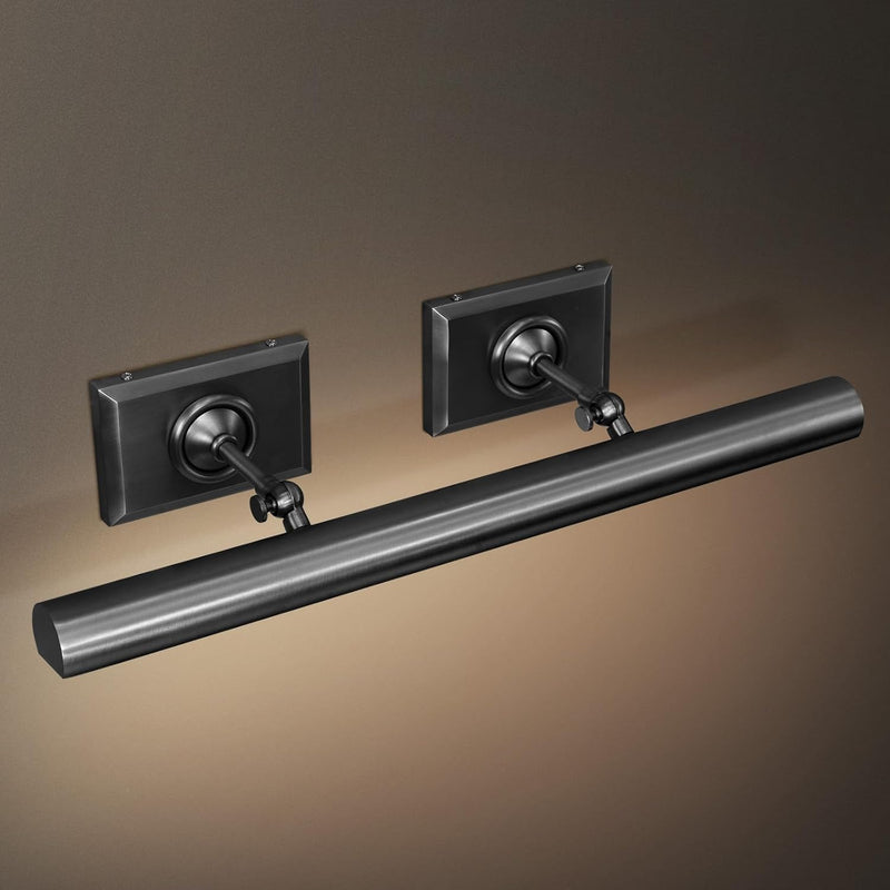 Anite Picture Light